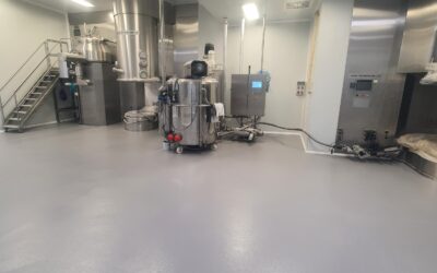 Pavimento Continuo Antideslizante: Empresa alimentaria