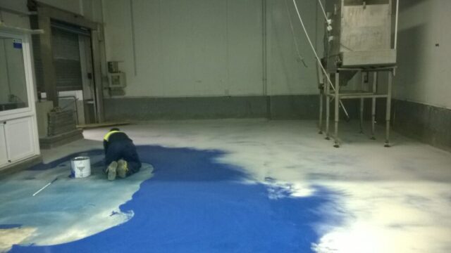 Lonja de pescado de Tarragona1