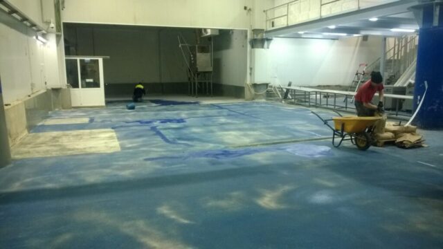 Lonja de pescado de Tarragona2