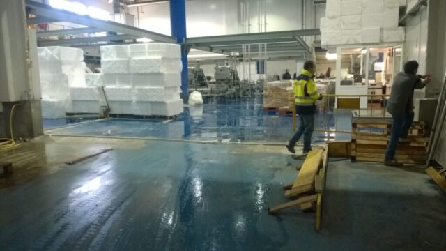 Lonja de pescado de Tarragona3