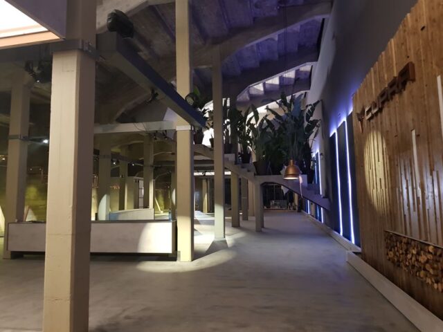 Renovación de Sala de Exposición6 Renovación de Sala de Exposición6